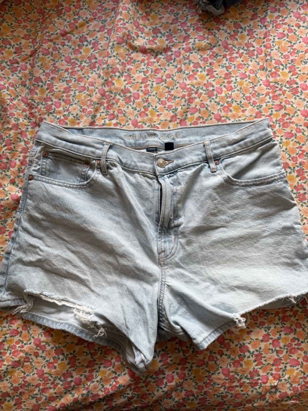 American Eagle Outfitters Light Blue Cropped Denim Shorts